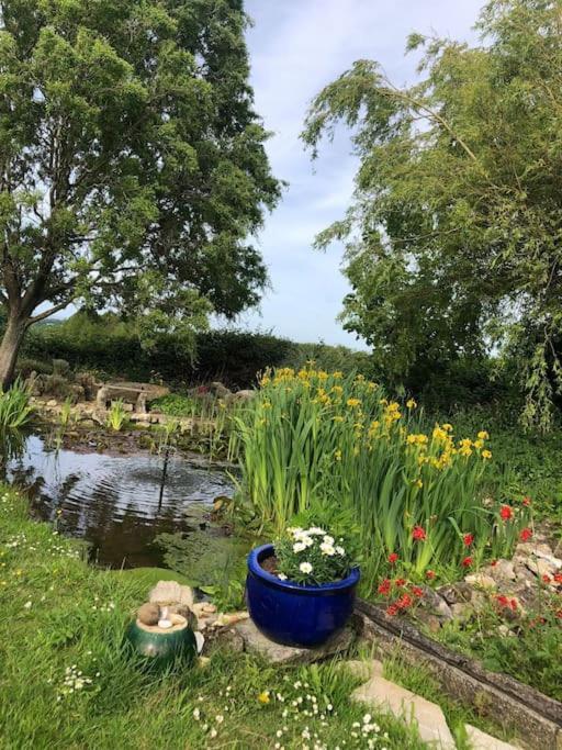 Beautiful Barn Conversion, 3 Bed, Hot Tub, Sauna, Gym, Enclosed Garden ライド エクステリア 写真